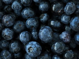 black round fruits on white background