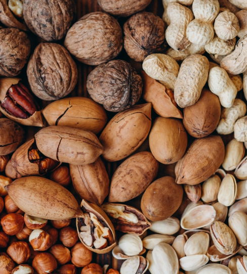 brown and beige nut lot