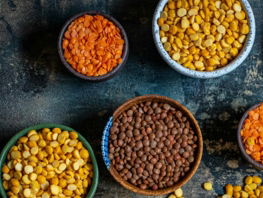a person touching a bowl of lentils on a table